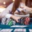 Online-Casinos ohne Lizenz in Deutschland